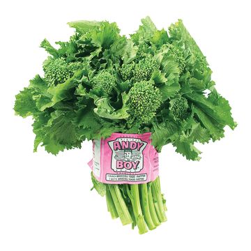 Rapini USA each