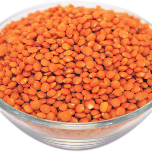 RED FOOTBALL LENTILS LB